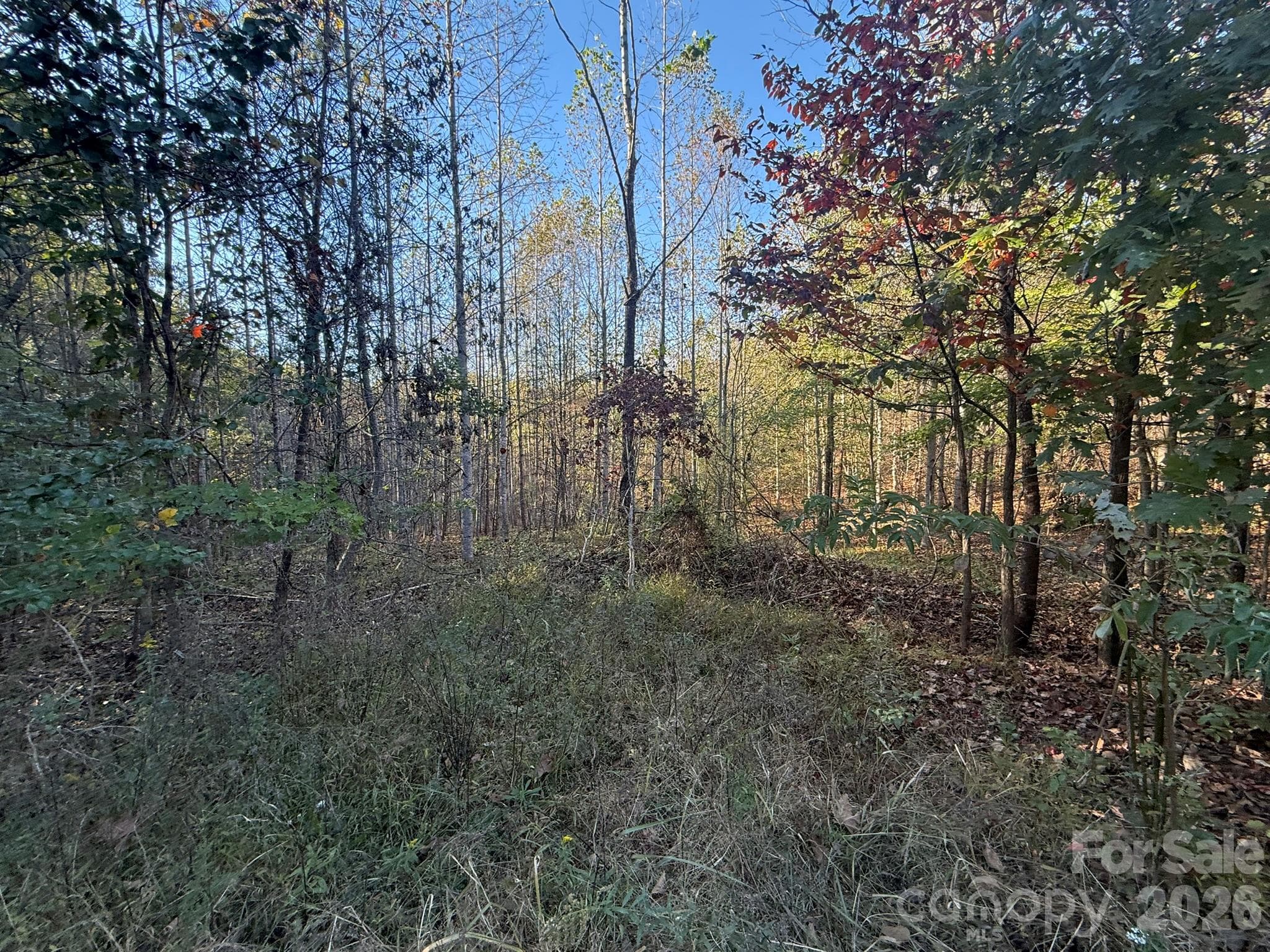 View from Wild Ridges Lane - V/L Wild Ridges Lane, Marion