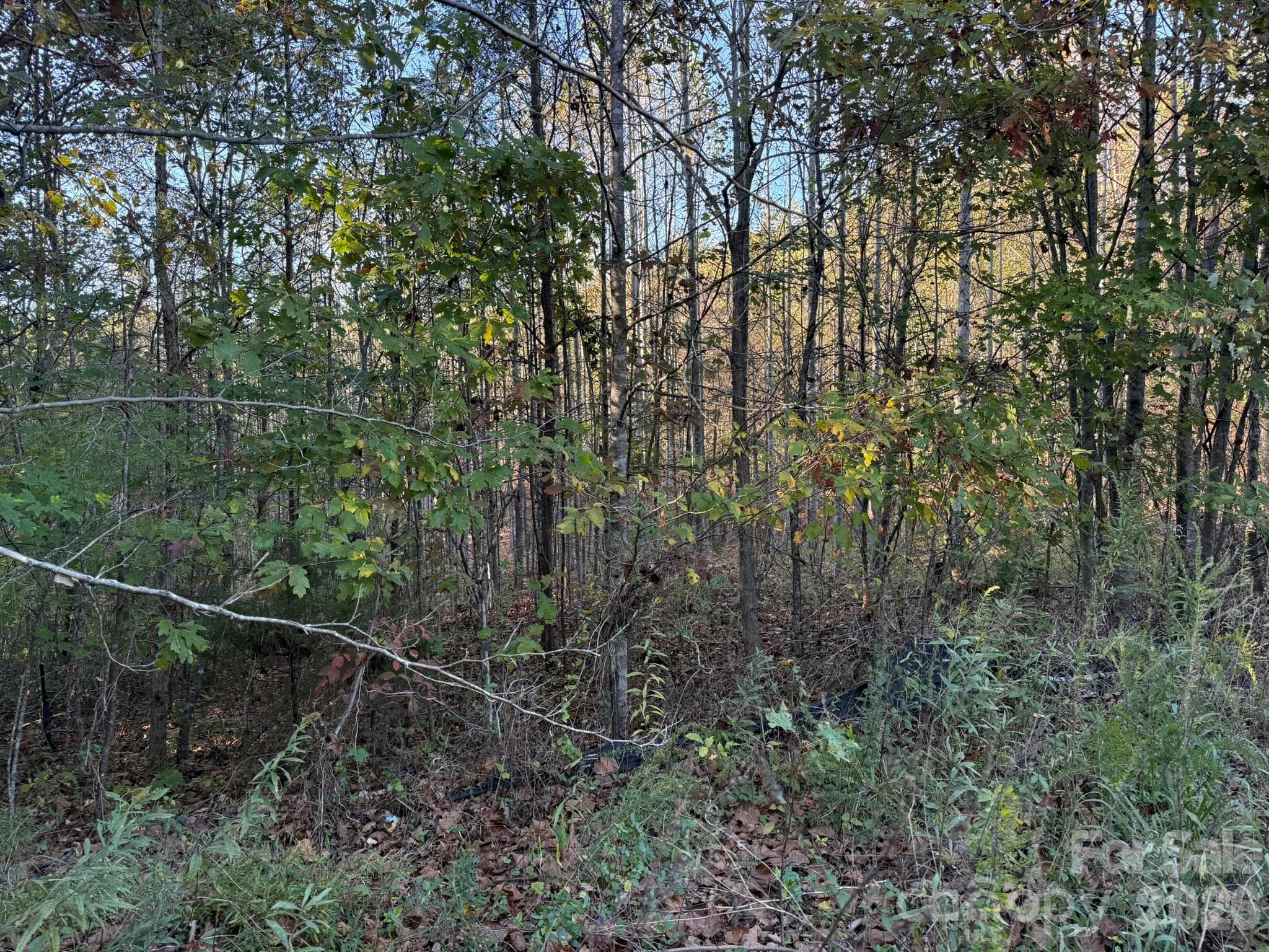 View from Wild Ridges Lane - V/L Wild Ridges Lane, Marion