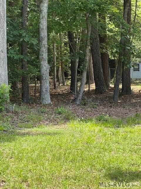 Acreage,Residential Lot-Unrestricted,Unimproved Land at 000 Canvas Back Ct., Valentines VA 23887, Valentines, photo 9 of 21