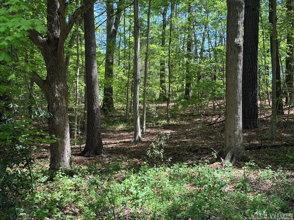 Residential Lot-Unrestricted,Unimproved Land at 00 S West Ave, Blackstone VA 23824, Blackstone, photo 3 of 7