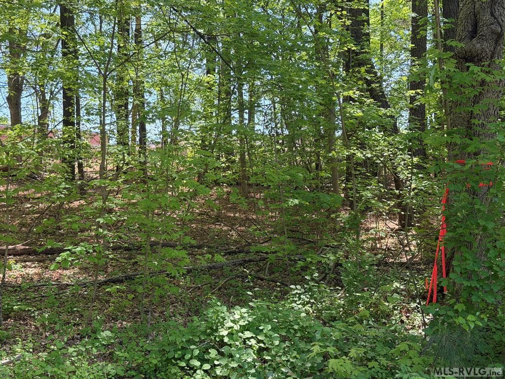Residential Lot-Unrestricted,Unimproved Land at 00 S West Ave, Blackstone VA 23824, Blackstone, photo 4 of 7