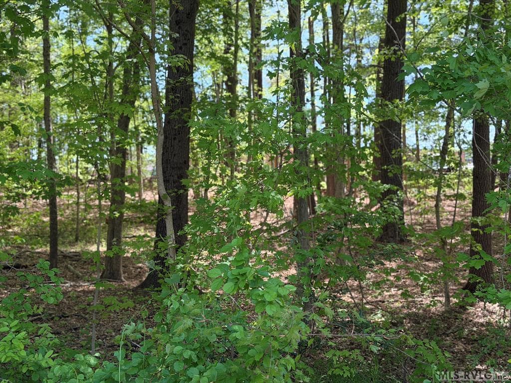 Residential Lot-Unrestricted,Unimproved Land at 00 S West Ave, Blackstone VA 23824, Blackstone, photo 5 of 7