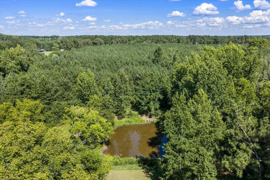 Residential/Vacation at 661 N. Main St., Brodnax VA 23920, Brodnax, photo 6 of 41