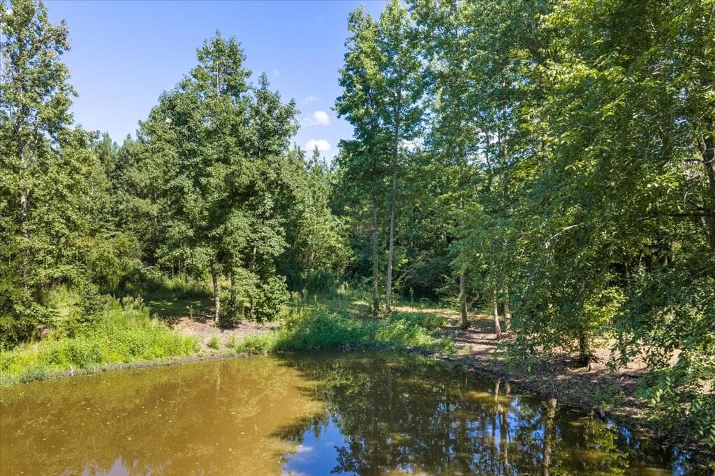 Residential/Vacation at 661 N. Main St., Brodnax VA 23920, Brodnax, photo 7 of 41