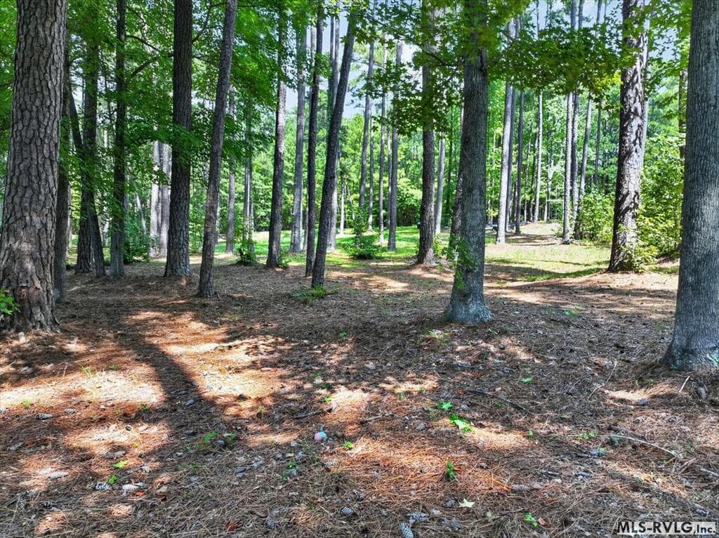 Residential Lot-Restricted,Unimproved Land at Lot 33 Old Ferry Road, Littleton NC 27850, Littleton, photo 32 of 36