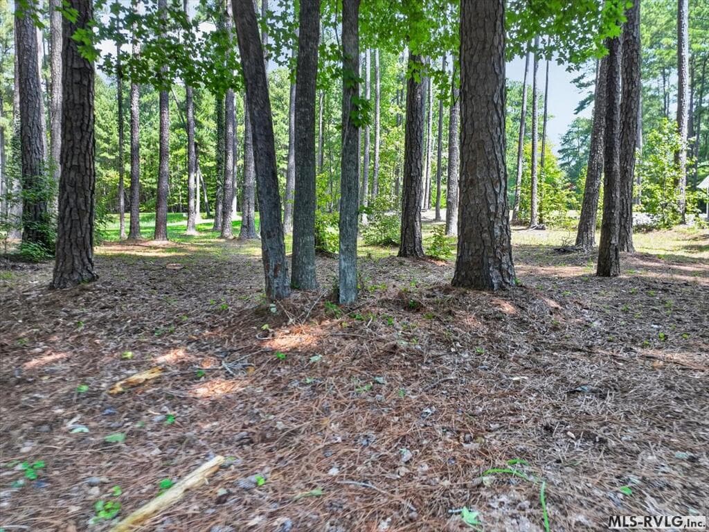 Residential Lot-Restricted,Unimproved Land at Lot 33 Old Ferry Road, Littleton NC 27850, Littleton, photo 35 of 36