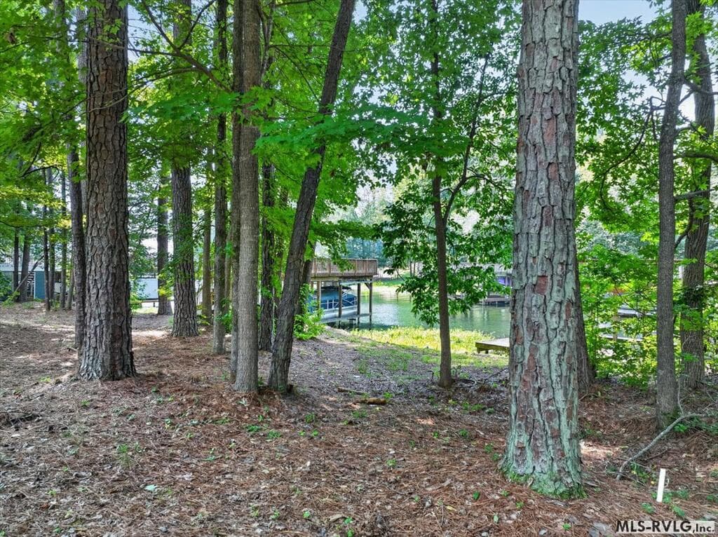 Residential Lot-Restricted,Unimproved Land at Lot 33 Old Ferry Road, Littleton NC 27850, Littleton, photo 36 of 36