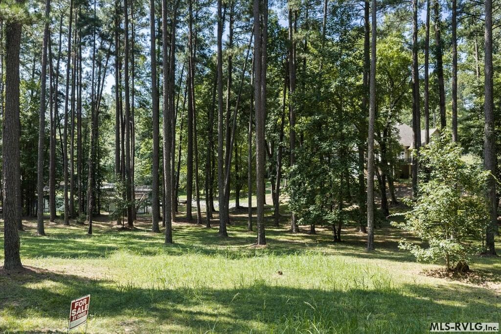 Residential Lot-Restricted,Unimproved Land at Lot 33 Old Ferry Road, Littleton NC 27850, Littleton, photo 4 of 36
