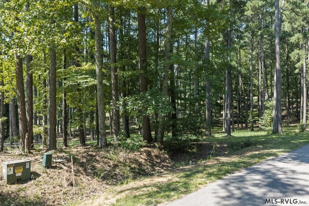 Residential Lot-Restricted,Unimproved Land at Lot 33 Old Ferry Road, Littleton NC 27850, Littleton, photo 5 of 36