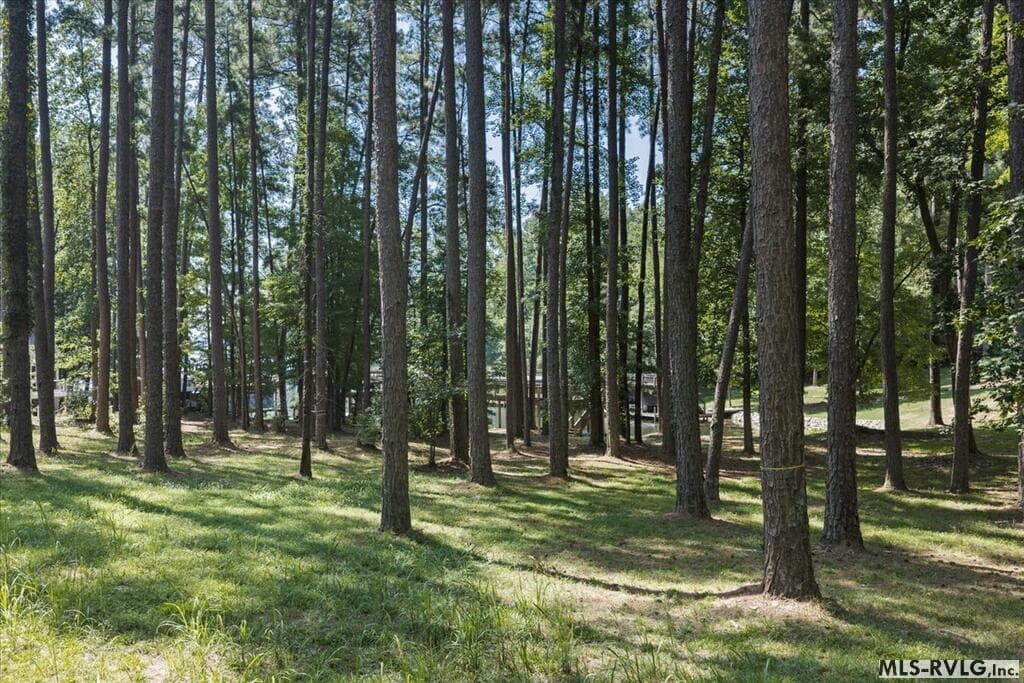 Residential Lot-Restricted,Unimproved Land at Lot 33 Old Ferry Road, Littleton NC 27850, Littleton, photo 6 of 36
