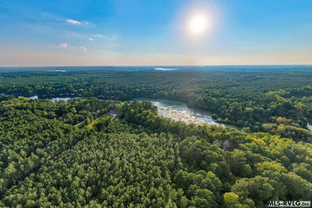 Acreage,Residential Lot-Restricted,Unimproved Land at 3376 Birdsong Rd, Ebony VA 23845, Ebony, photo 10 of 14
