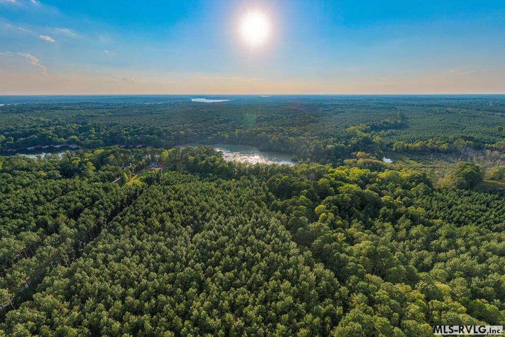 Acreage,Residential Lot-Restricted,Unimproved Land at 3376 Birdsong Rd, Ebony VA 23845, Ebony, photo 11 of 14