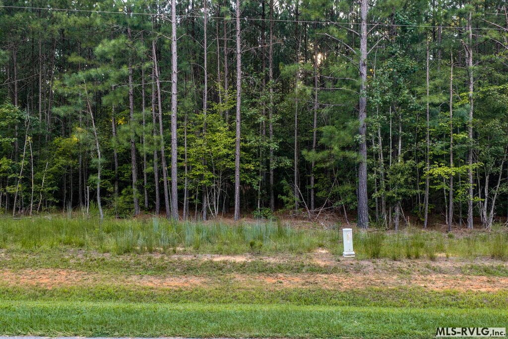 Acreage,Residential Lot-Restricted,Unimproved Land at 3376 Birdsong Rd, Ebony VA 23845, Ebony, photo 5 of 14