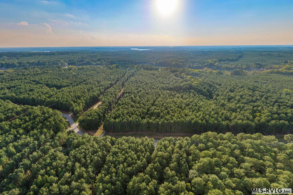 Acreage,Residential Lot-Restricted,Unimproved Land at 3376 Birdsong Rd, Ebony VA 23845, Ebony, photo 8 of 14