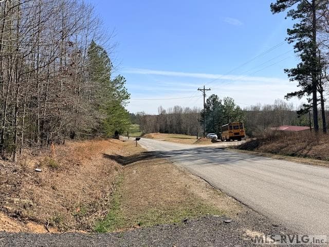 Acreage,Double Wide Permitted,Modular On Frame Permitted,Unimproved Land at Lot 2 Trinity Church Rd, South Hill VA 23970, South Hill, photo 3 of 4