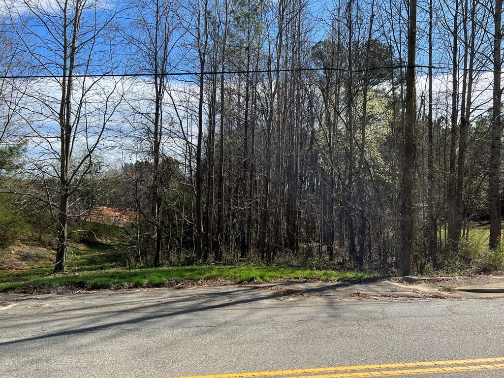 Raleigh Avenue - 0 Highway 47, South Hill VA 23970, South Hill