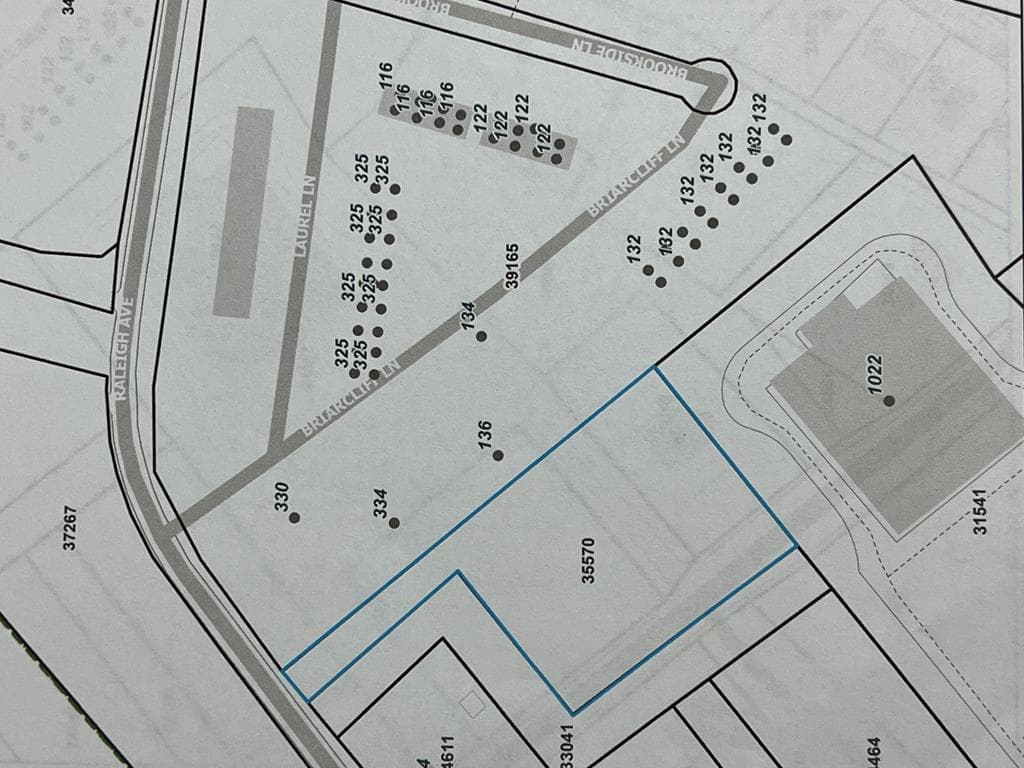 Parcel shown in blue , Left of the Food Lion Building (shaded) - 0 Highway 47, South Hill VA 23970, South Hill