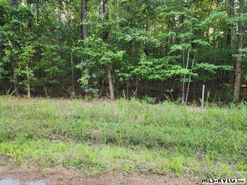 Acreage,Unimproved Land at Lot 8 Loco School Rd, Stony Creek VA 23882, Stony Creek, photo 2 of 4