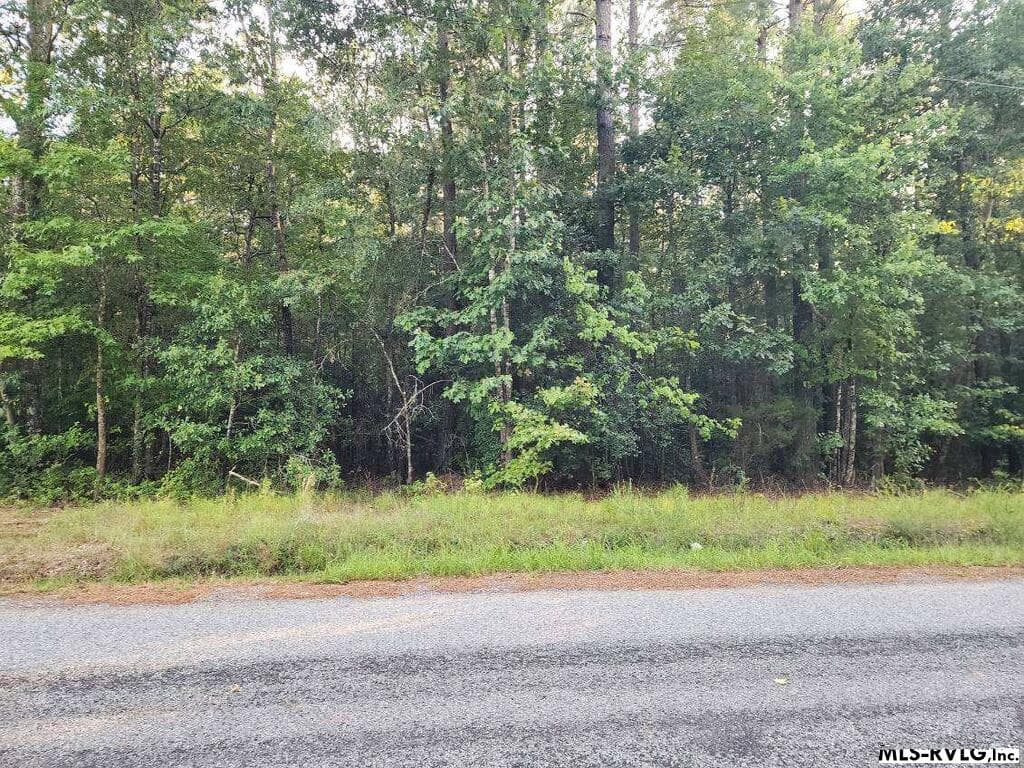 Acreage,Unimproved Land at Lot 8 Loco School Rd, Stony Creek VA 23882, Stony Creek, photo 3 of 4