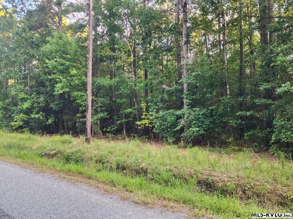 Acreage,Unimproved Land at Lot 8 Loco School Rd, Stony Creek VA 23882, Stony Creek, photo 4 of 4