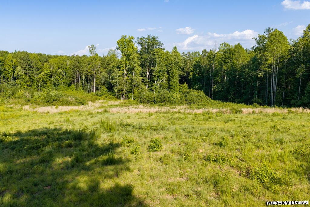 Acreage,Residential Lot-Unrestricted,Double Wide Permitted,Modular On Frame Permitted,Unimproved Land at Lot 3 Oak Road, Brodnax VA 23920, Brodnax, photo 17 of 24