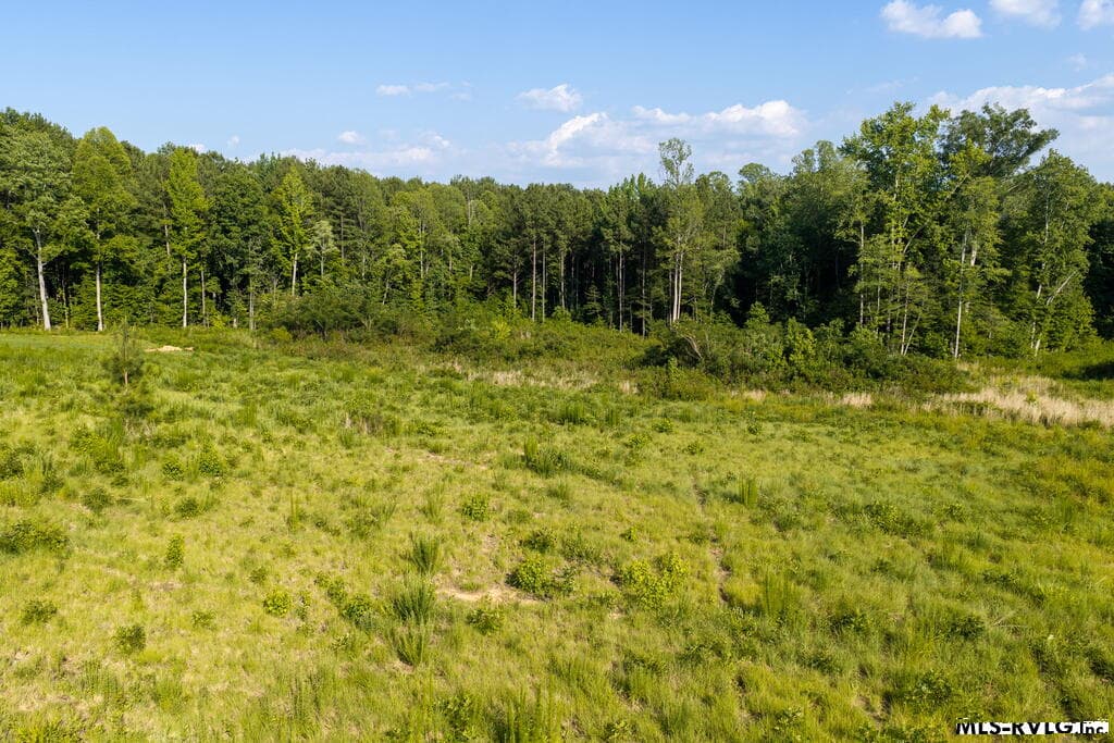 Acreage,Residential Lot-Unrestricted,Double Wide Permitted,Modular On Frame Permitted,Unimproved Land at Lot 3 Oak Road, Brodnax VA 23920, Brodnax, photo 19 of 24