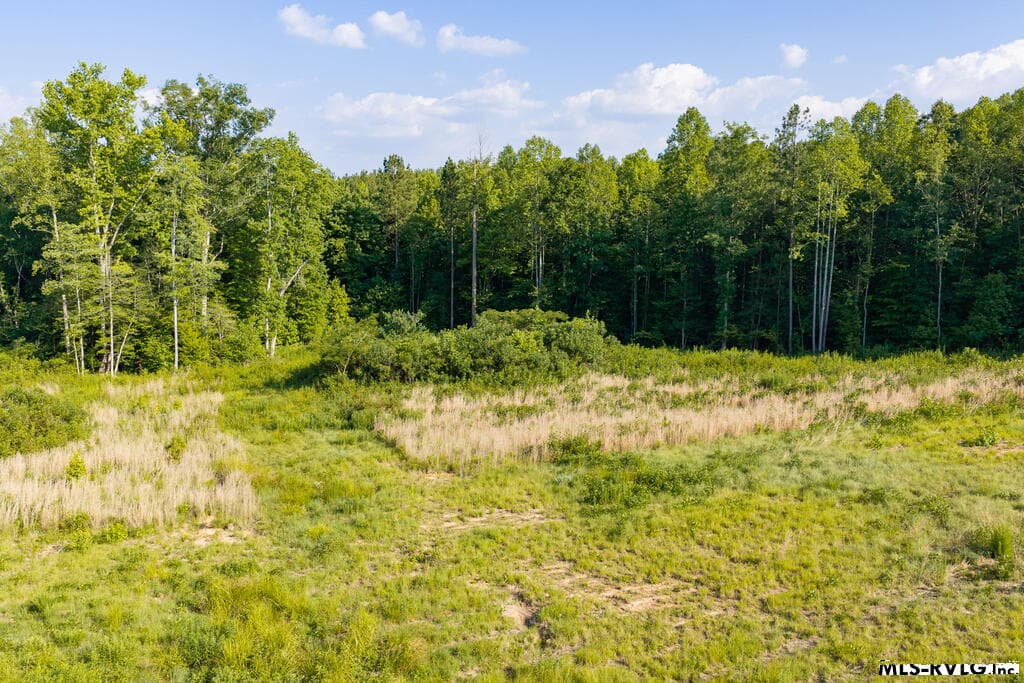 Acreage,Residential Lot-Unrestricted,Double Wide Permitted,Modular On Frame Permitted,Unimproved Land at Lot 3 Oak Road, Brodnax VA 23920, Brodnax, photo 20 of 24