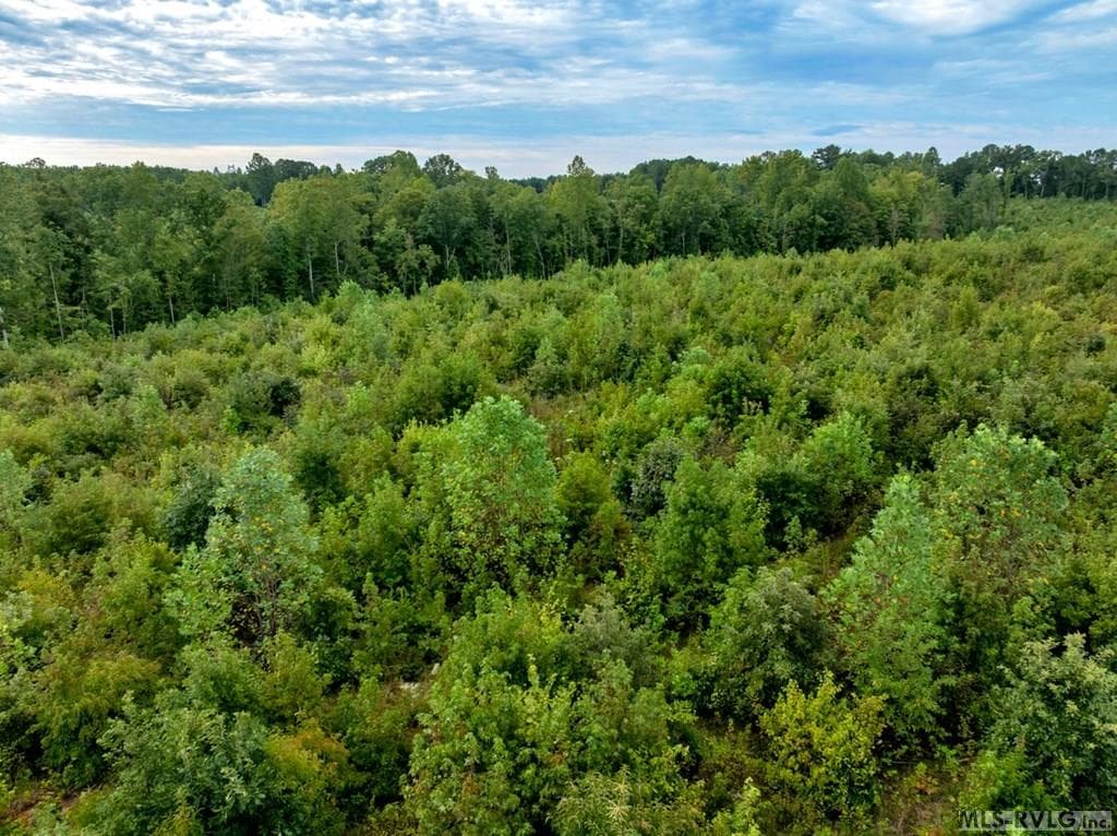 Acreage at 7 & 7A Richardson Road, Warrenton NC 27589, photo 7 of 12
