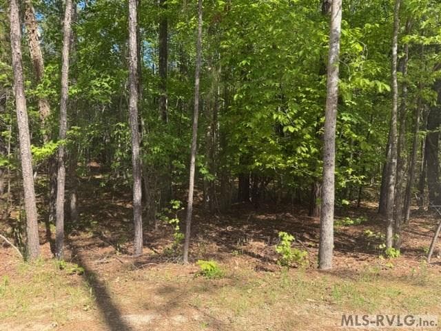Acreage,Residential Lot-Restricted,Unimproved Land at 16-18 Shadow Brook Shores Drive, Littleton NC 27850, Littleton, photo 2 of 6
