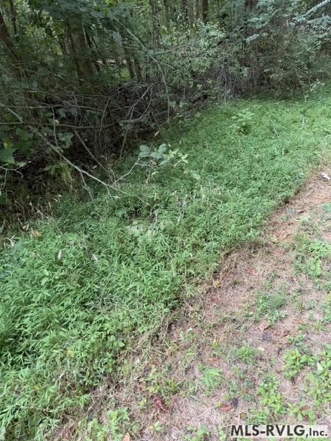 Acreage,Residential Lot-Restricted,Unimproved Land at 000 Second Ave, Lawrenceville VA 23868, Lawrenceville, photo 11 of 38