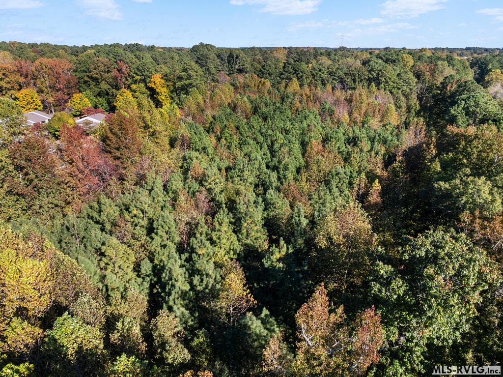 Acreage,Residential Lot-Restricted,Unimproved Land at 000 Second Ave, Lawrenceville VA 23868, Lawrenceville, photo 29 of 38