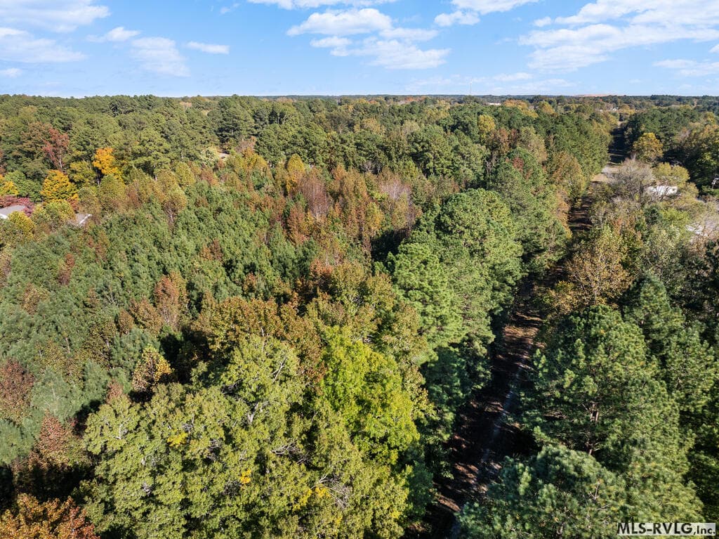 Acreage,Residential Lot-Restricted,Unimproved Land at 000 Second Ave, Lawrenceville VA 23868, Lawrenceville, photo 31 of 38