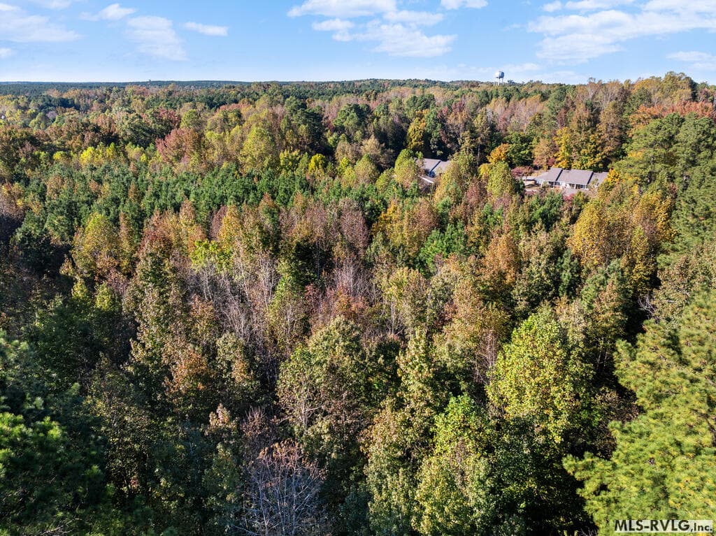 Acreage,Residential Lot-Restricted,Unimproved Land at 000 Second Ave, Lawrenceville VA 23868, Lawrenceville, photo 36 of 38