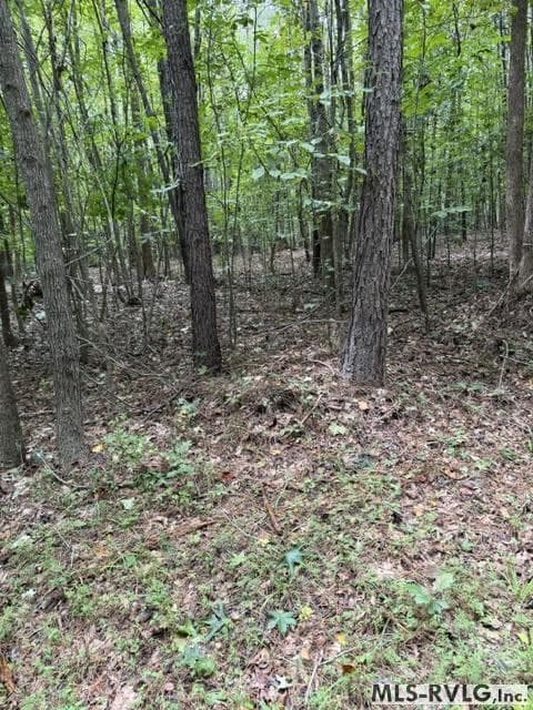 Acreage,Residential Lot-Restricted,Unimproved Land at 000 Second Ave, Lawrenceville VA 23868, Lawrenceville, photo 5 of 38
