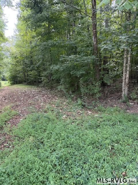 Acreage,Residential Lot-Restricted,Unimproved Land at 000 Second Ave, Lawrenceville VA 23868, Lawrenceville, photo 6 of 38
