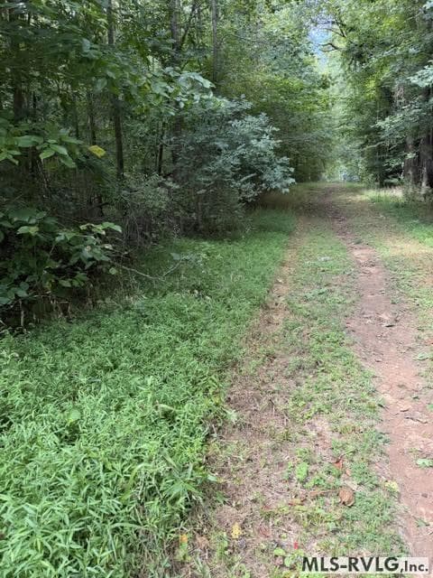 Acreage,Residential Lot-Restricted,Unimproved Land at 000 Second Ave, Lawrenceville VA 23868, Lawrenceville, photo 8 of 38