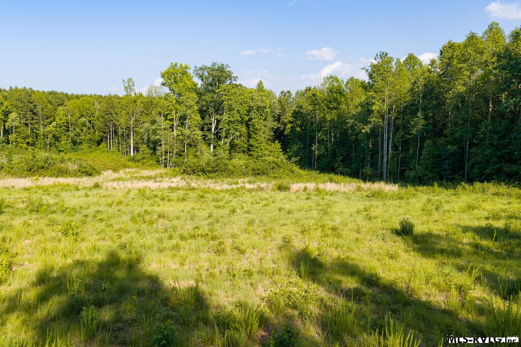 Acreage,Residential Lot-Unrestricted,Double Wide Permitted,Modular On Frame Permitted,Unimproved Land at Lot 1 Oak Road, Brodnax VA 23920, Brodnax, photo 16 of 24