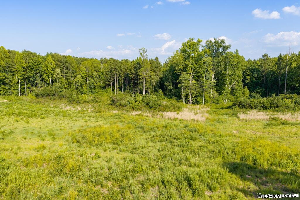 Acreage,Residential Lot-Unrestricted,Double Wide Permitted,Modular On Frame Permitted,Unimproved Land at Lot 1 Oak Road, Brodnax VA 23920, Brodnax, photo 18 of 24