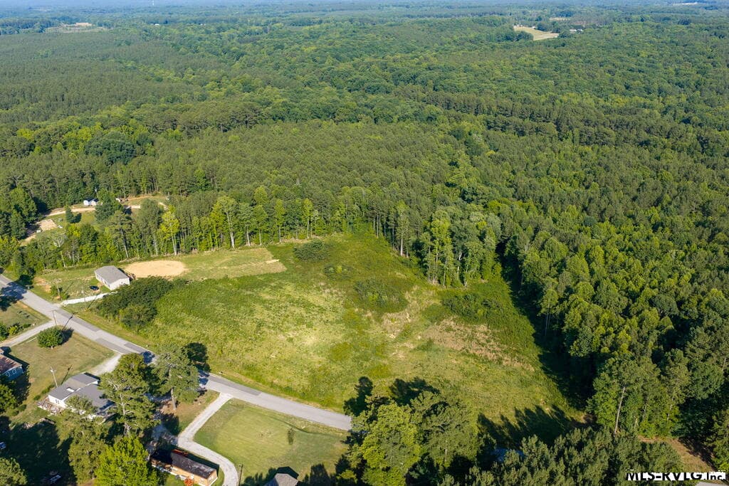 Acreage,Residential Lot-Unrestricted,Double Wide Permitted,Modular On Frame Permitted,Unimproved Land at Lot 1 Oak Road, Brodnax VA 23920, Brodnax, photo 6 of 24