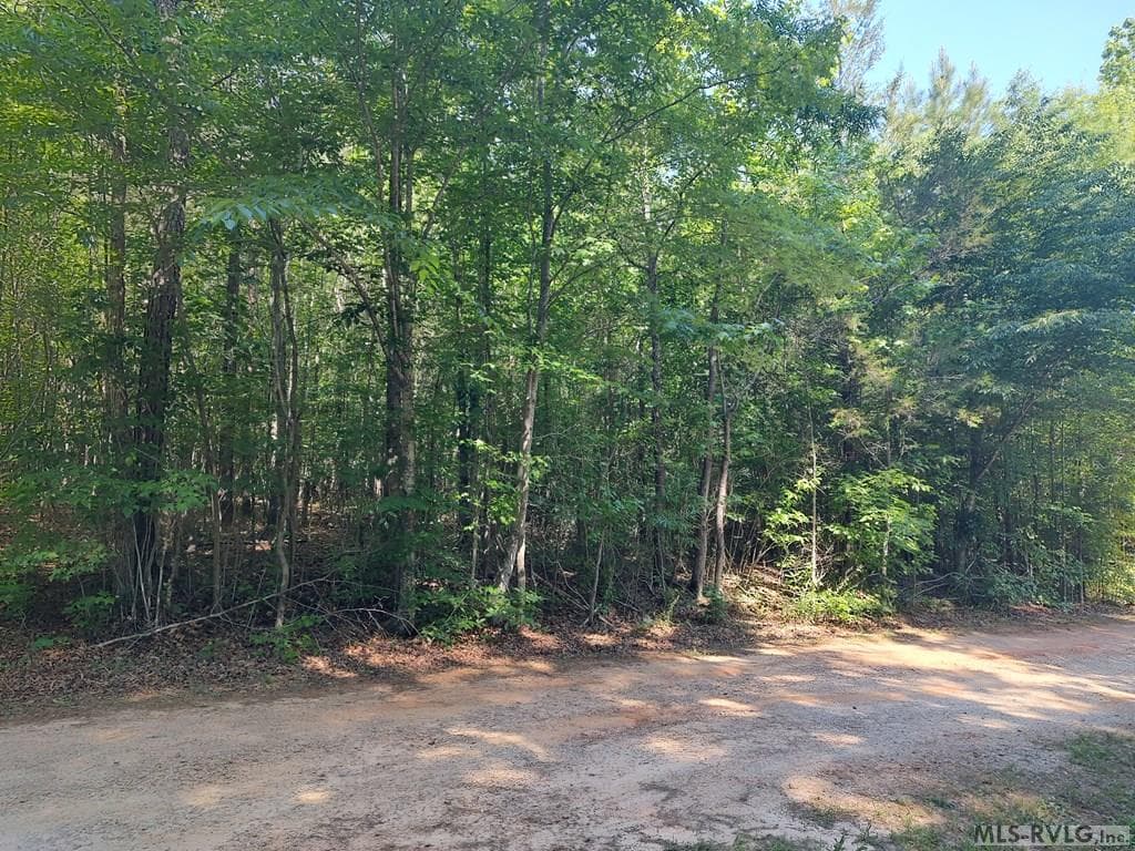 Acreage at 0 Gilliland Street, Warrenton NC 27589, photo 3 of 6