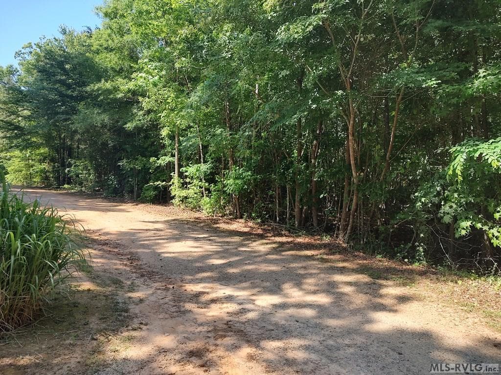 Acreage at 0 Gilliland Street, Warrenton NC 27589, photo 5 of 6