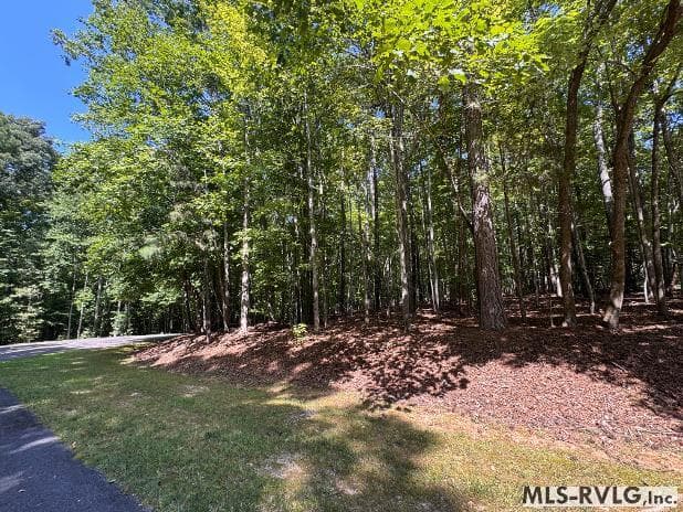 Acreage,Residential Lot-Restricted,Unimproved Land at TBD Buck Springs Rd, Littleton NC 27850, Littleton, photo 7 of 7