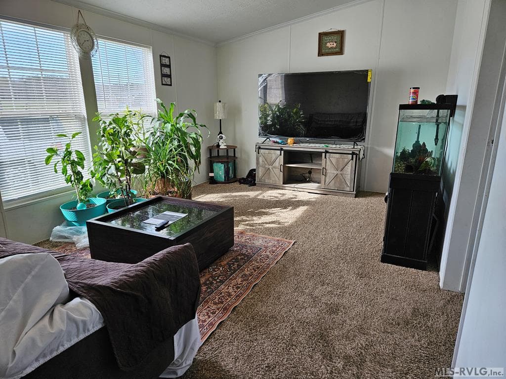 Residential/Vacation at 152 Blake Dr, Rich Square NC 27869, Rich Square, photo 16 of 26