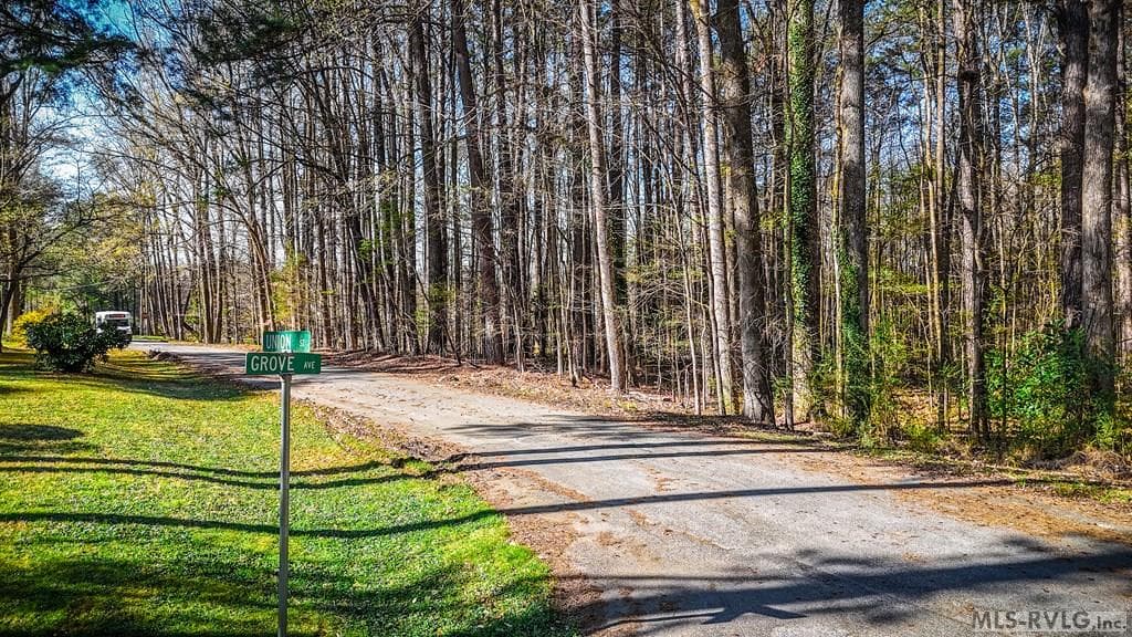 Acreage,Other-See Remarks,Unimproved Land at 000 Union St, Lawrenceville VA 23868, Lawrenceville, photo 3 of 12
