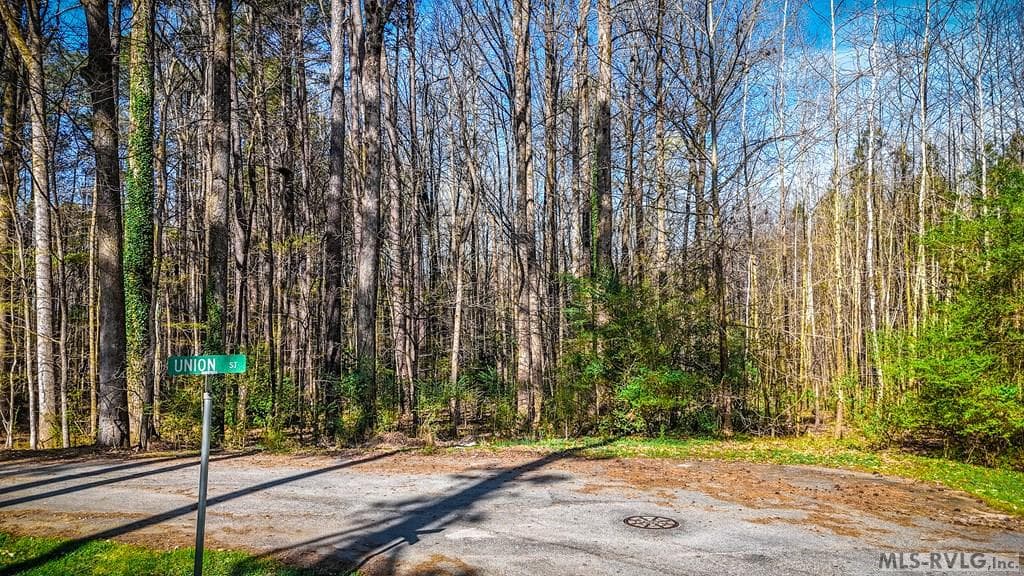 Acreage,Other-See Remarks,Unimproved Land at 000 Union St, Lawrenceville VA 23868, Lawrenceville, photo 4 of 12