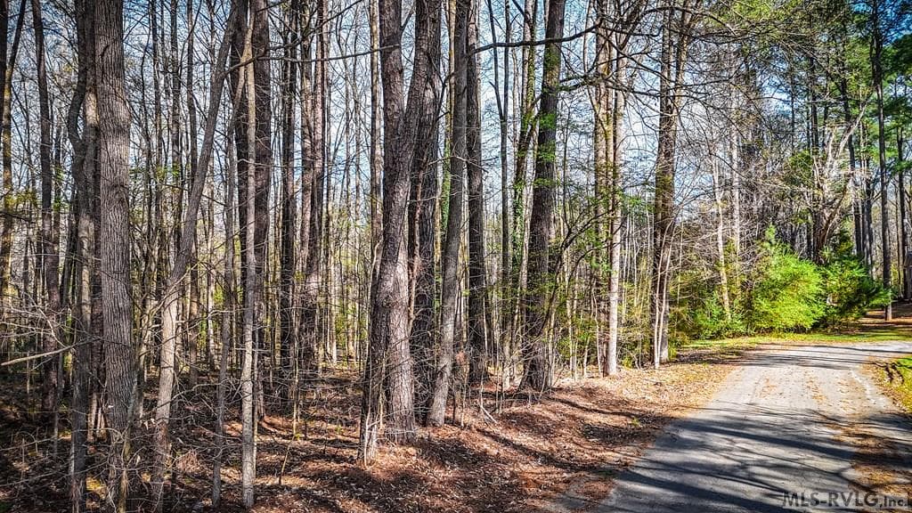 Acreage,Other-See Remarks,Unimproved Land at 000 Union St, Lawrenceville VA 23868, Lawrenceville, photo 5 of 12