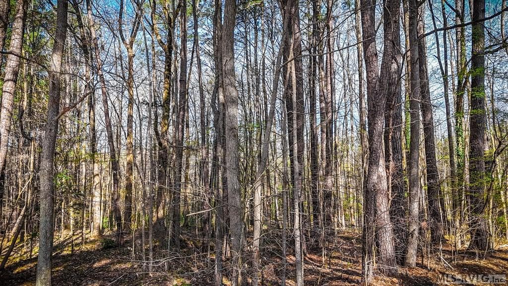 Acreage,Other-See Remarks,Unimproved Land at 000 Union St, Lawrenceville VA 23868, Lawrenceville, photo 8 of 12