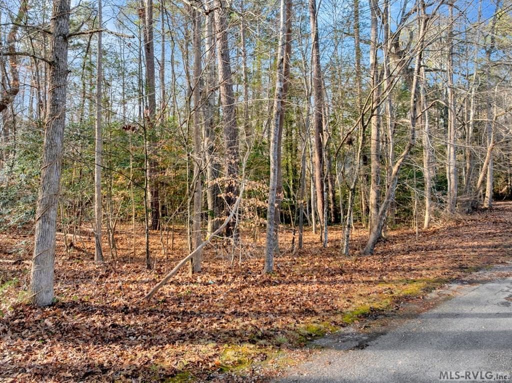 Residential Lot-Restricted,Unimproved Land at 0 Chestnut Drive, Bracey VA 23919, Bracey, photo 7 of 20