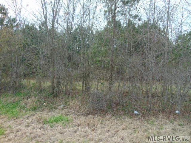 3.92 Ac. Hwy 301, Enfield NC 27823