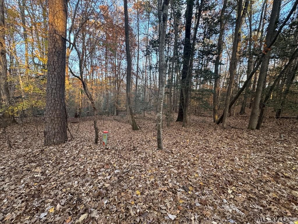 Residential Lot-Restricted,Unimproved Land at LOT 64 Windward Passage, Bracey VA 23919, Bracey, photo 16 of 22